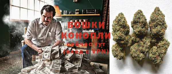 PSILOCYBIN Нягань