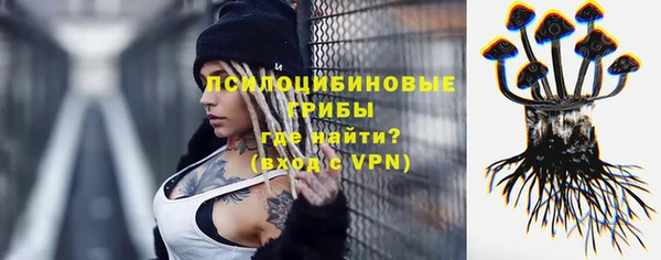 прущие крисы Балабаново
